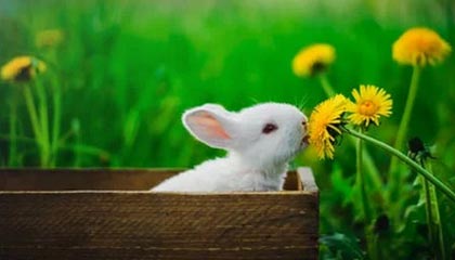 开云app下载教程-国际热身赛国家队惨败 球迷反思战术问题，2021国际热身赛赛程