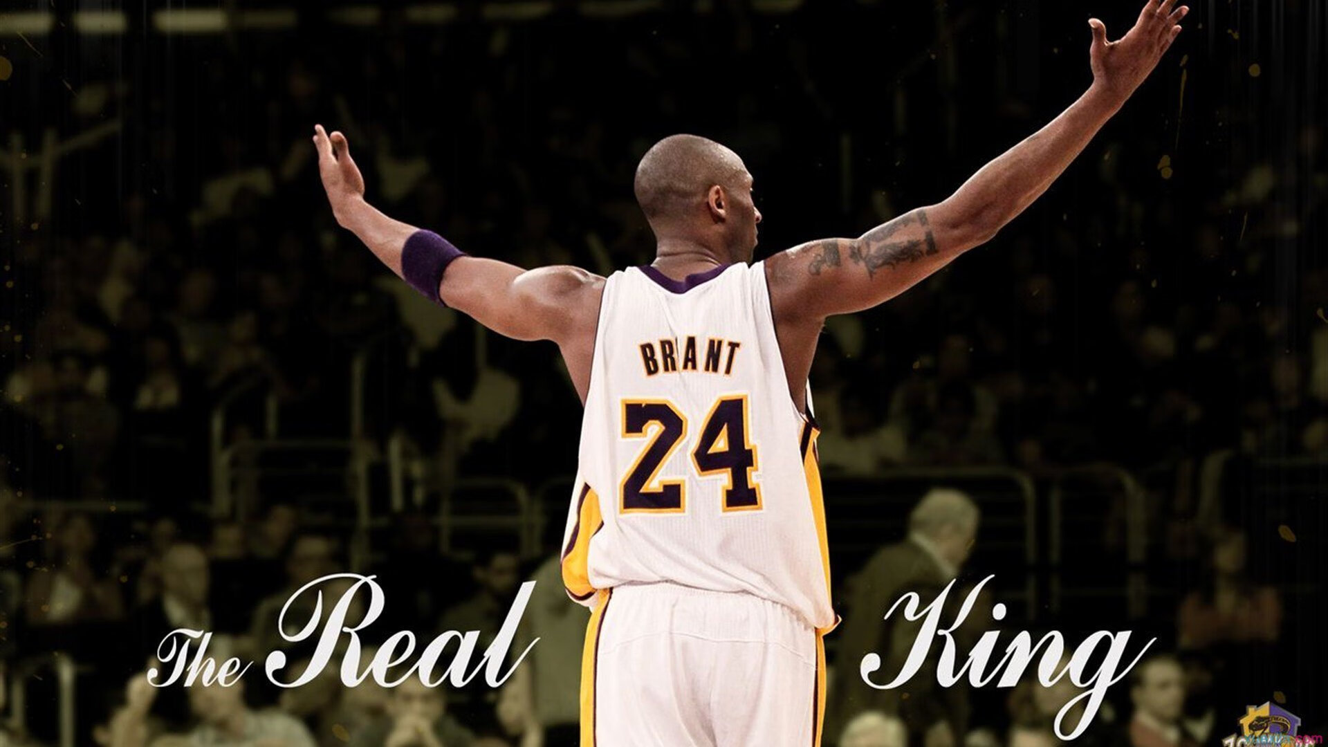 “高新体育中心:羽毛球选手们上演极限对决”